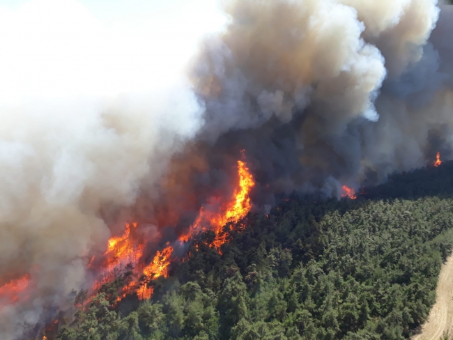 Gelibolu yangını böyle başladı